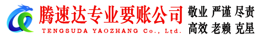 长丰收债公司